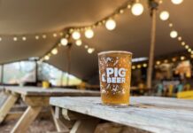 Hidden Away In The New Forest: The Family Brewery Turning A Former Pig Farm Into A Craft Beer Destination Freshly poured pint of PIG BEER craft lager in the New Forest tap room Brockenhurst Hampshire