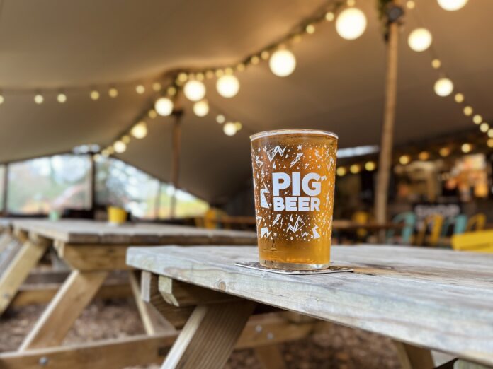 Freshly poured pint of PIG BEER craft lager in the New Forest tap room Brockenhurst Hampshire